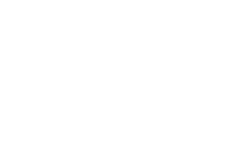 Velocidad Total